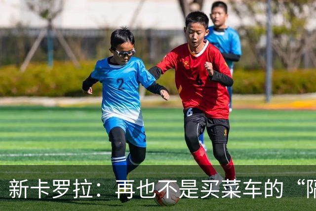 新卡罗拉：再也不是买菜车的“隔壁王”了！